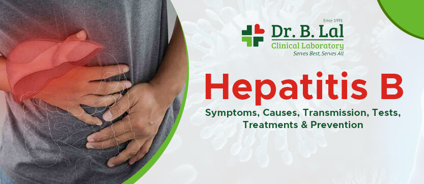 Hepatitis B: Symptoms, Causes, Transmission, Tests, Treatments & Prevention