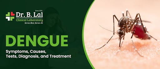 Dengue : Symptoms, Causes, Test, and Treatment | Dr. B. Lal Lab Blog