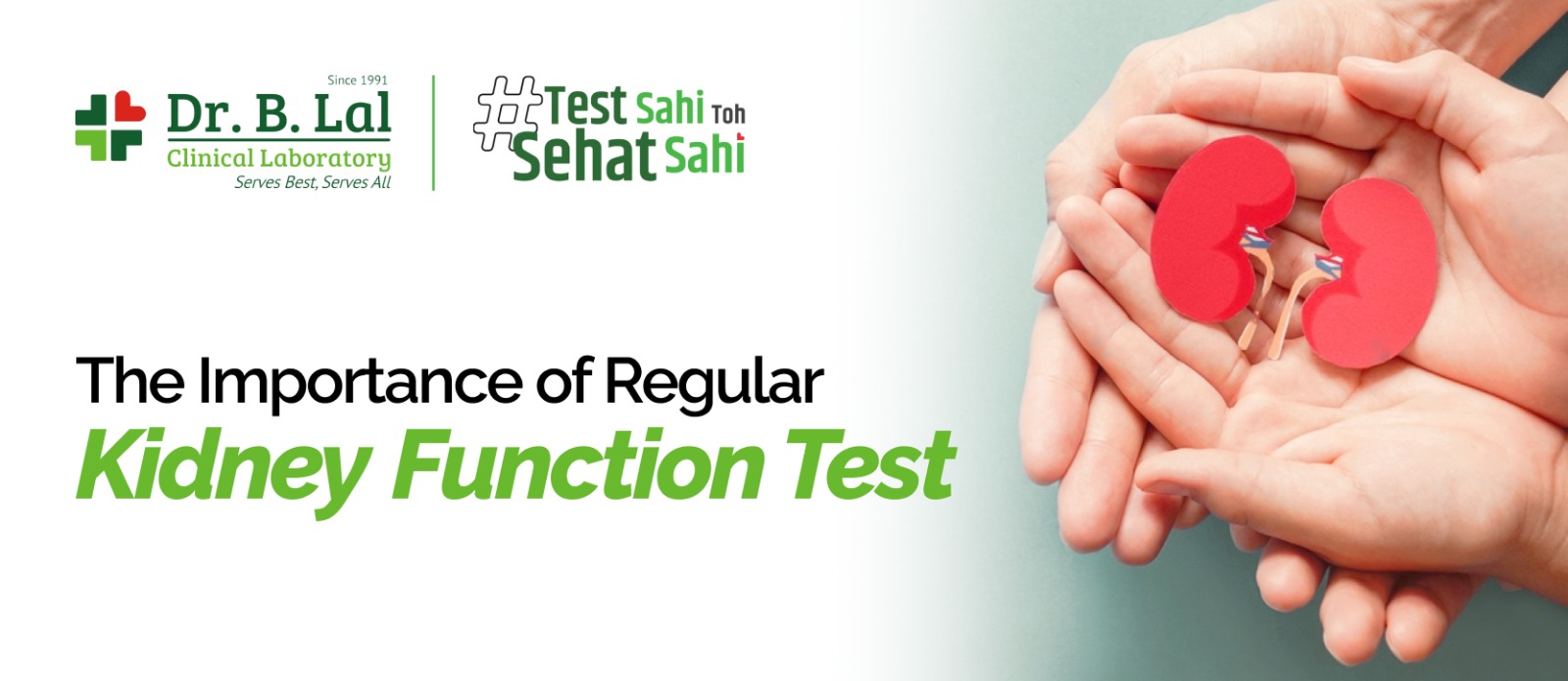 The Importance of Regular Kidney Function Tests