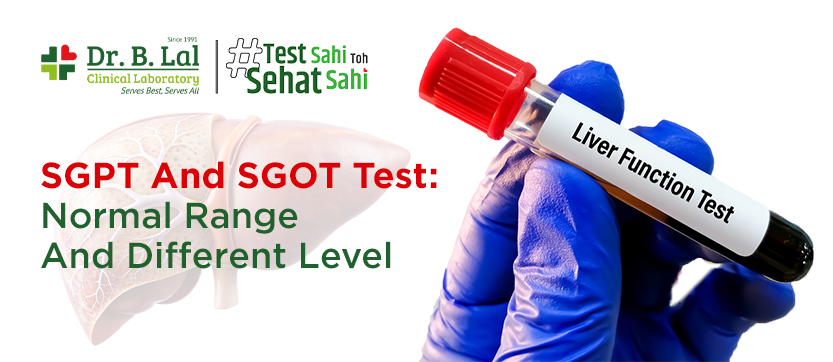 SGPT and SGOT Test: Normal Range and Different Level