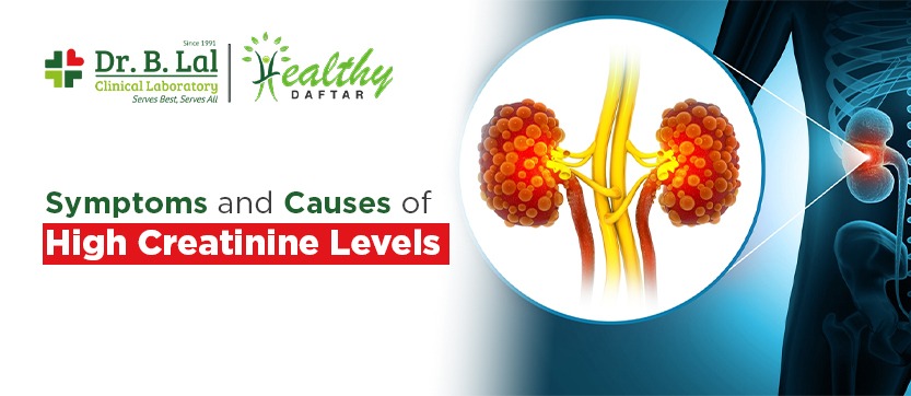 Symptoms and Causes of High Creatinine Levels