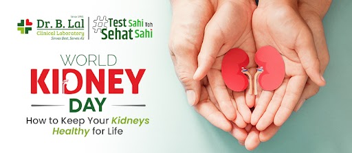 World Kidney Day: How to Keep Your Kidneys Healthy for Life
