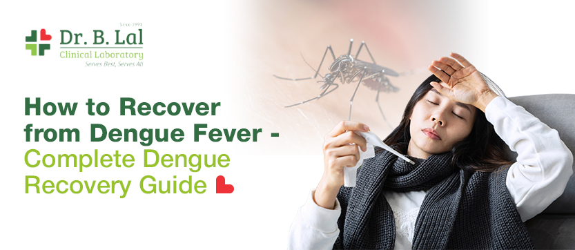 How to Recover from Dengue Fever - Complete Dengue Recovery Guide